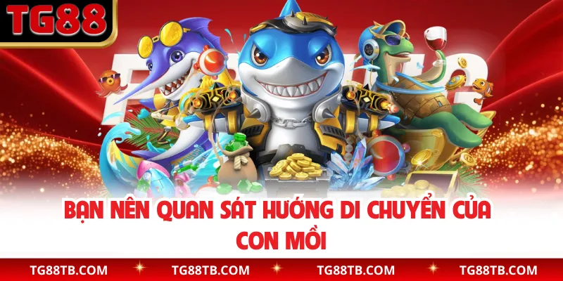 Bạn nên quan sát hướng di chuyển của con mồi