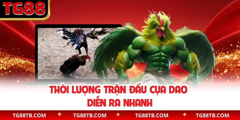 Thời lượng trận đấu cựa dao diễn ra nhanh